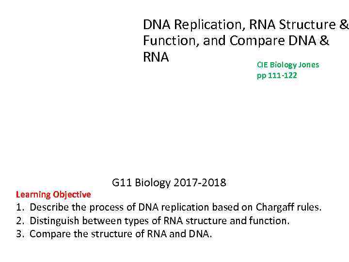 DNA Replication, RNA Structure & Function, and Compare DNA & RNA CIE Biology Jones