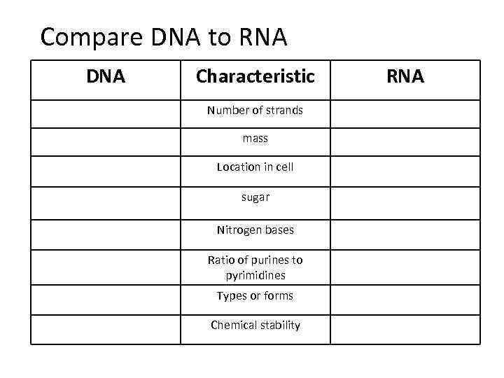 Compare DNA to RNA DNA Characteristic Number of strands mass Location in cell sugar