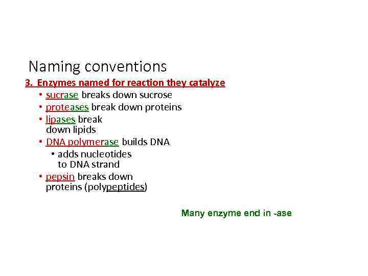 Naming conventions 3. Enzymes named for reaction they catalyze • sucrase breaks down sucrose