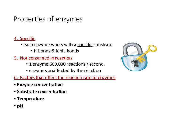 Properties of enzymes 4. Specific • each enzyme works with a specific substrate •