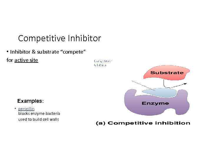 Competitive Inhibitor • Inhibitor & substrate “compete” for active site Examples: • penicillin blocks