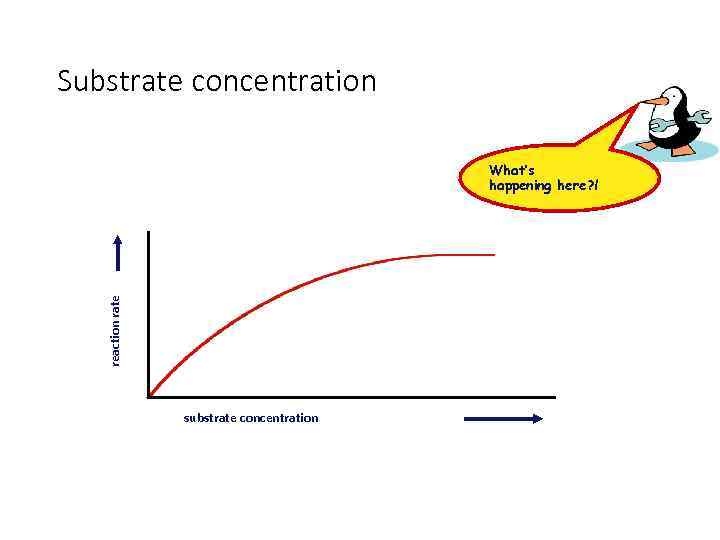 Substrate concentration reaction rate What’s happening here? ! substrate concentration 