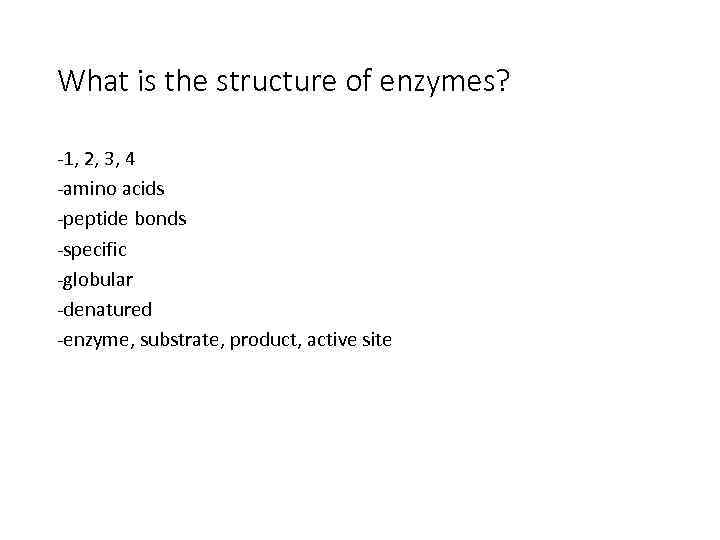 What is the structure of enzymes? -1, 2, 3, 4 -amino acids -peptide bonds