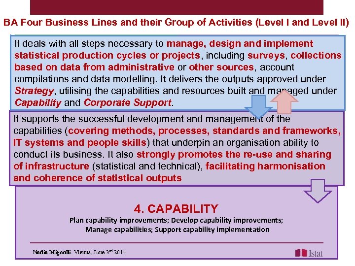 BA Four Business Lines and their Group of Activities (Level I and Level II)