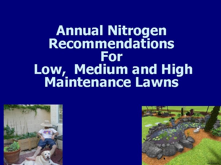 Annual Nitrogen Recommendations For Low, Medium and High Maintenance Lawns 