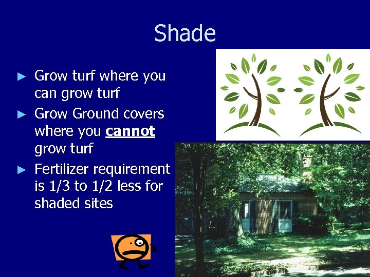Shade Grow turf where you can grow turf ► Grow Ground covers where you