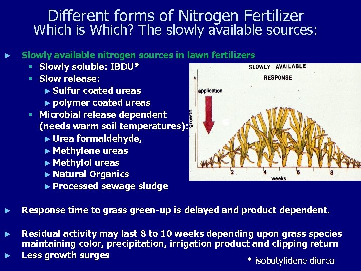 Different forms of Nitrogen Fertilizer Which is Which? The slowly available sources: ► Slowly