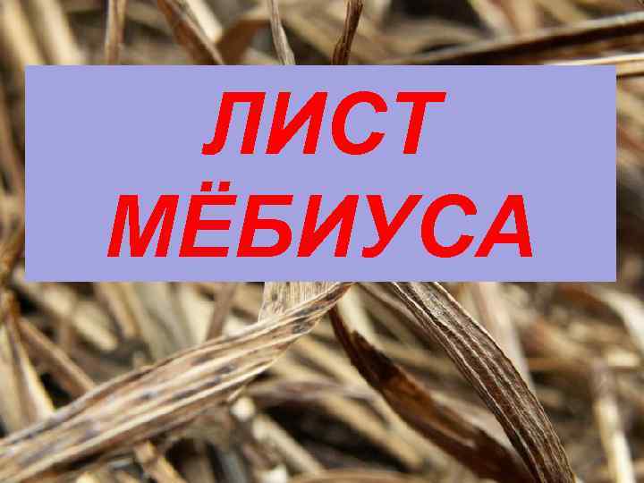 ЛИСТ МЁБИУСА 