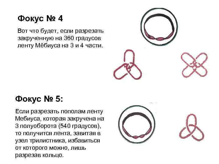 Фокус № 4 Вот что будет, если разрезать закрученную на 360 градусов ленту Мёбиуса