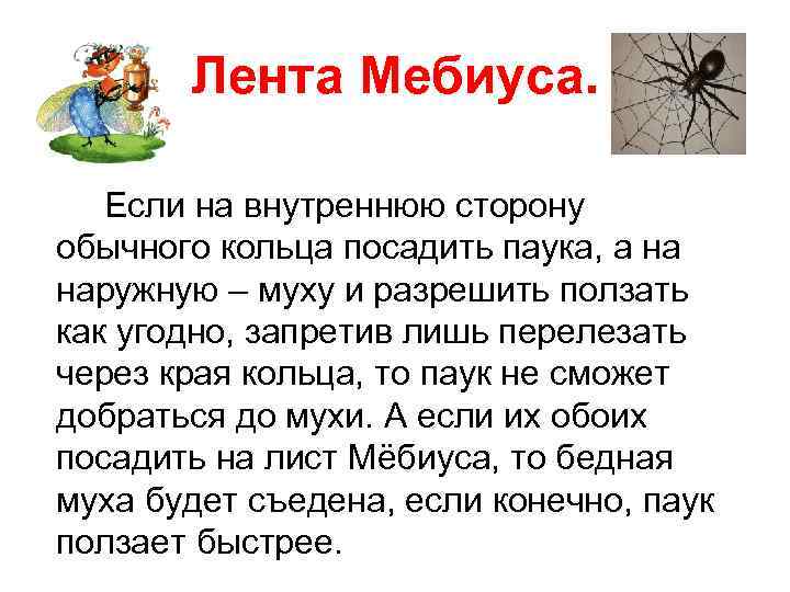 Лента Мебиуса. Если на внутреннюю сторону обычного кольца посадить паука, а на наружную –