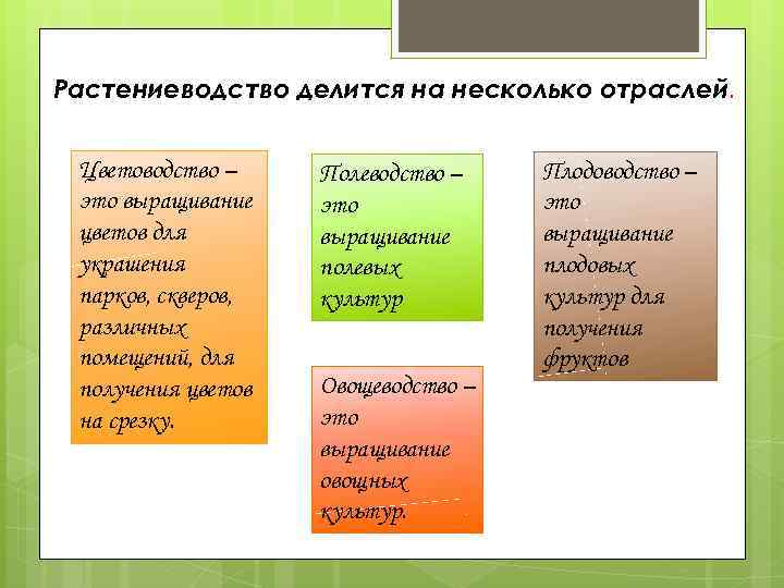 Растениеводство делится на несколько отраслей. Цветоводство – это выращивание цветов для украшения парков, скверов,