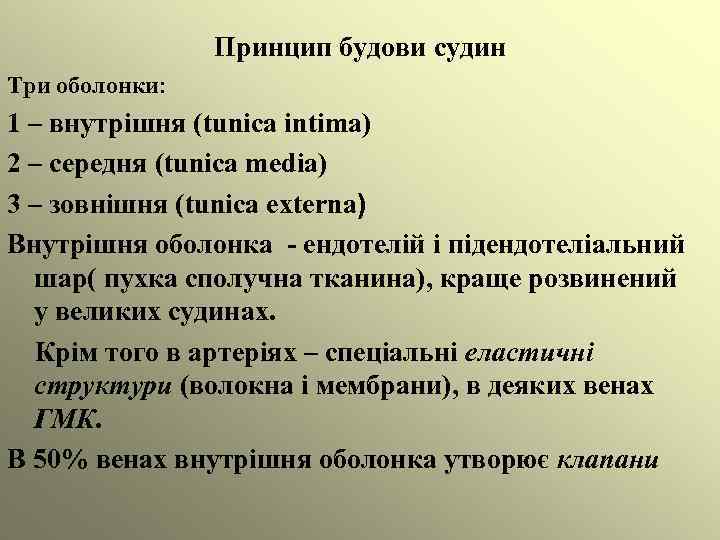 Принцип будови судин Три оболонки: 1 – внутрішня (tunica intima) 2 – середня (tunica