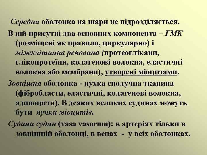 Середня оболонка на шари не підрозділяється. В ній присутні два основних компонента – ГМК