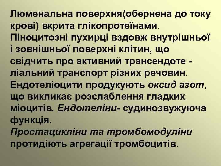 Люменальна поверхня(обернена до току крові) вкрита глікопротеїнами. Піноцитозні пухирці вздовж внутрішньої і зовнішньої поверхні