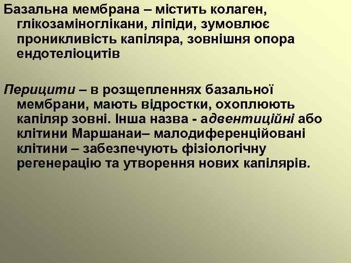 Базальна мембрана – містить колаген, глікозаміноглікани, ліпіди, зумовлює проникливість капіляра, зовнішня опора ендотеліоцитів Перицити