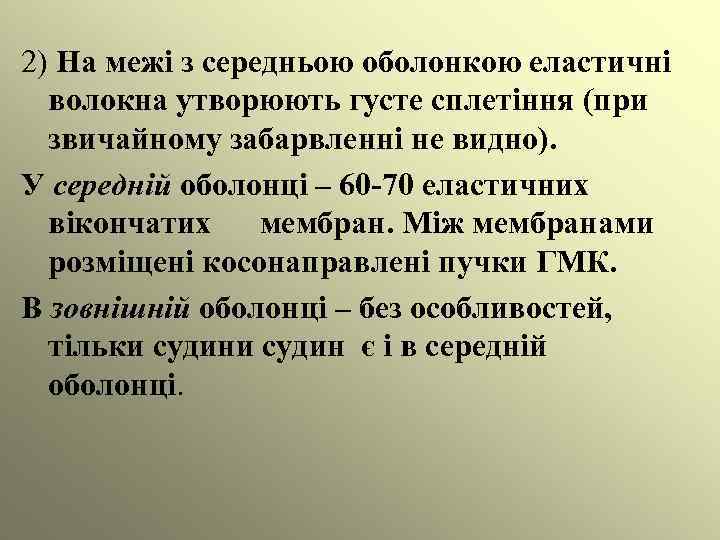 2) На межі з середньою оболонкою еластичні волокна утворюють густе сплетіння (при звичайному забарвленні