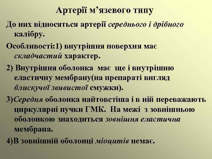 Артерії м’язевого типу До них відносяться артерії середнього і дрібного калібру. Особливості: 1) внутрішня