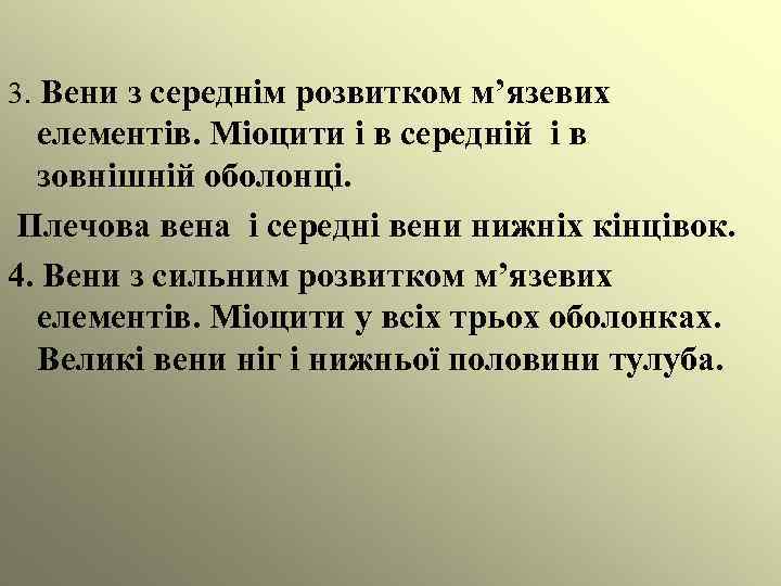 3. Вени з середнім розвитком м’язевих елементів. Міоцити і в середній і в зовнішній