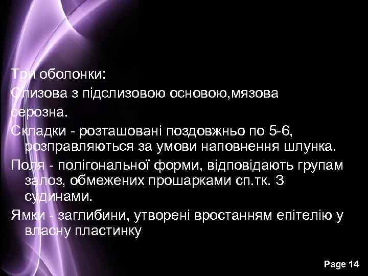 Три оболонки: Слизова з підслизовою основою, мязова серозна. Складки - розташовані поздовжньо по 5