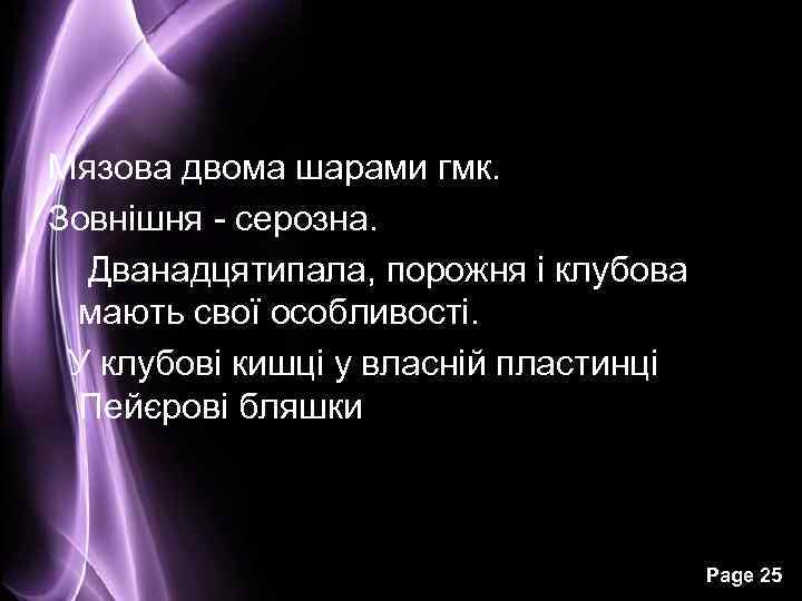 Мязова двома шарами гмк. Зовнішня - серозна. Дванадцятипала, порожня і клубова мають свої особливості.