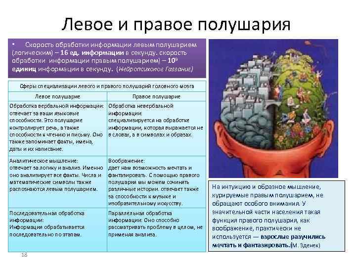 Левое и правое полушария • Скорость обработки информации левым полушарием (логическим) – 16 ед.