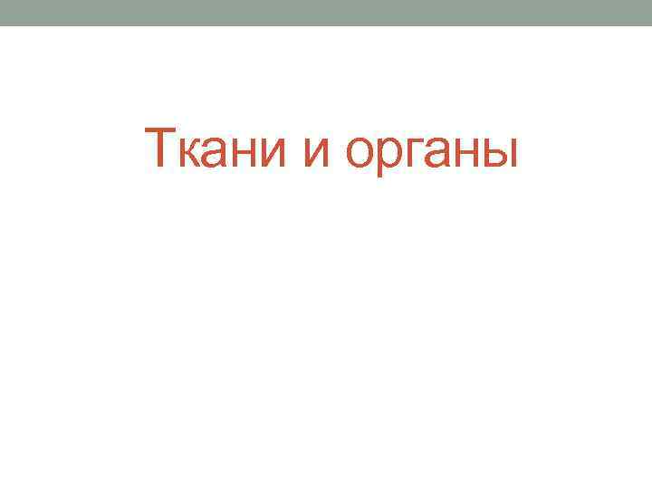 Ткани и органы 