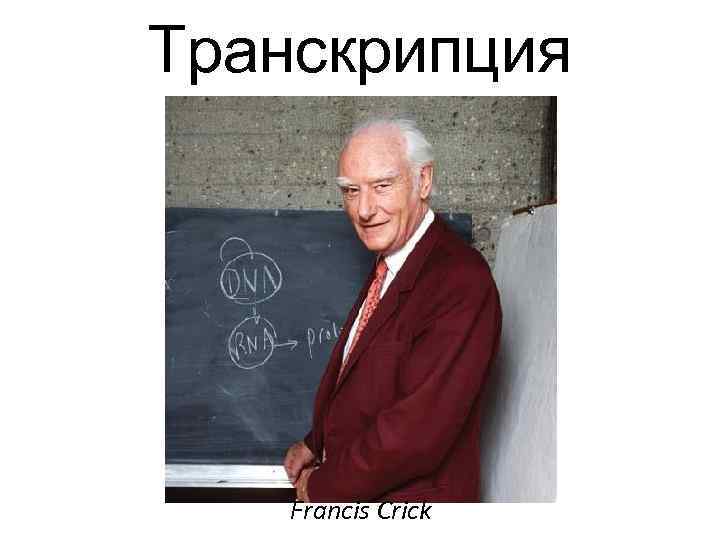 Транскрипция Francis Crick 