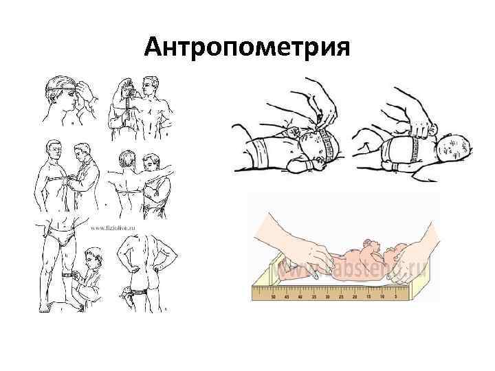 Измерение роста новорожденного алгоритм