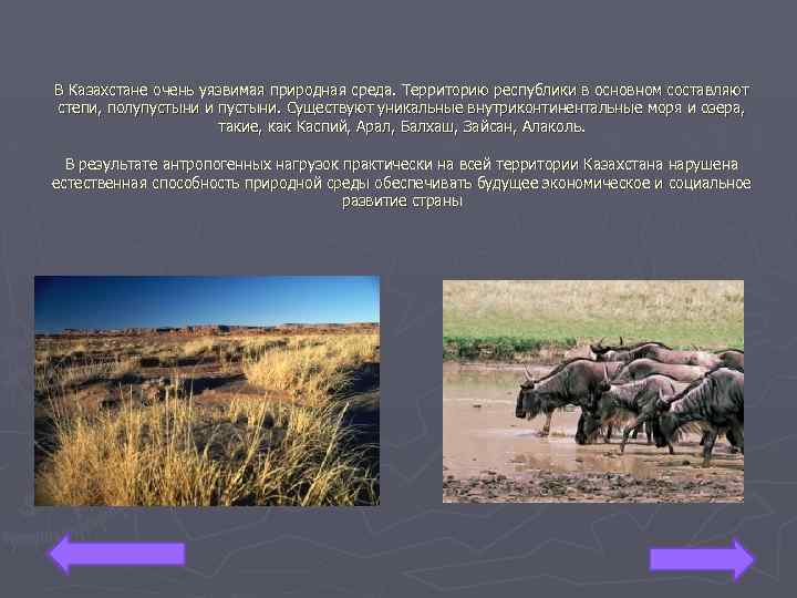 В Казахстане очень уязвимая природная среда. Территорию республики в основном составляют степи, полупустыни и