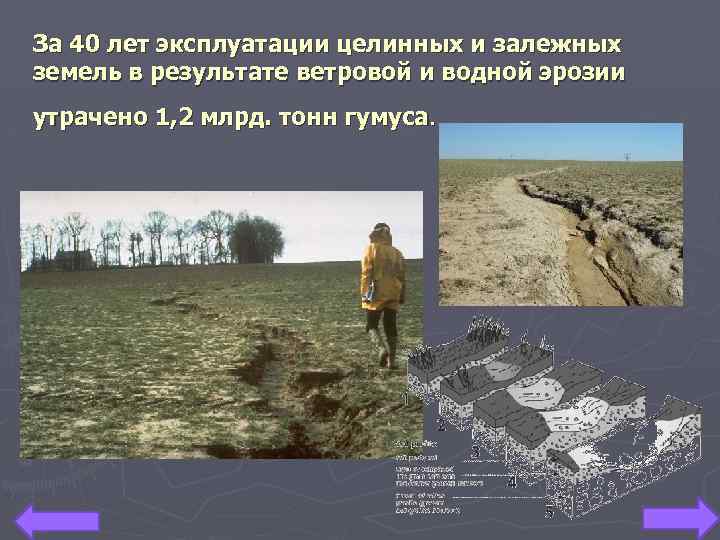 За 40 лет эксплуатации целинных и залежных земель в результате ветровой и водной эрозии