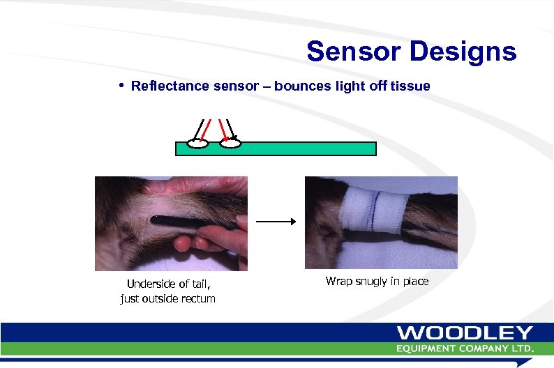 Sensor Designs • Reflectance sensor – bounces light off tissue Underside of tail, just