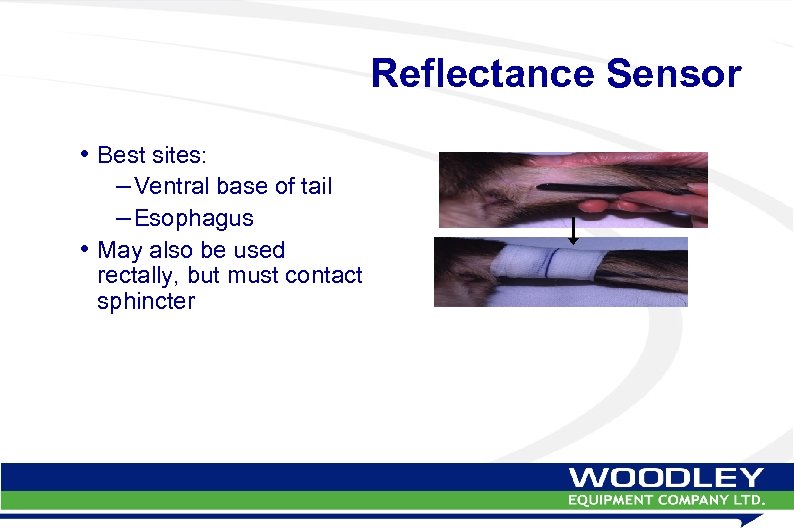 Reflectance Sensor • Best sites: – Ventral base of tail – Esophagus • May