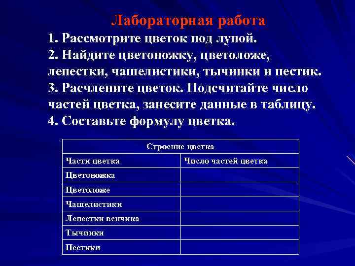 Лабораторная работа 1. Рассмотрите цветок под лупой. 2. Найдите цветоножку, цветоложе, лепестки, чашелистики, тычинки