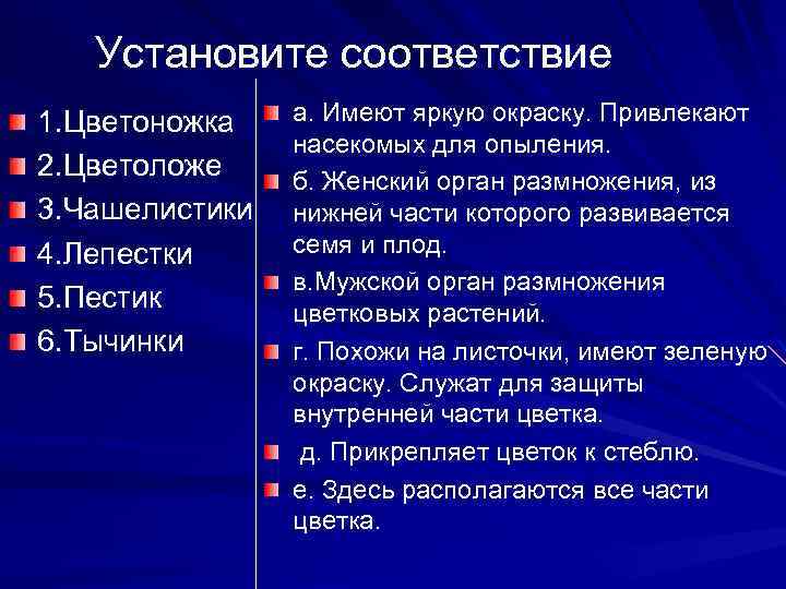 Установите соответствие 1. Цветоножка 2. Цветоложе 3. Чашелистики 4. Лепестки 5. Пестик 6. Тычинки