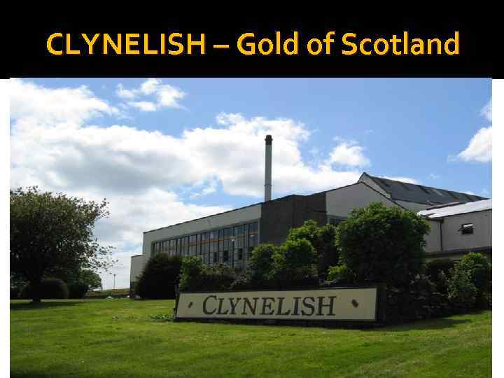 CLYNELISH – Gold of Scotland 