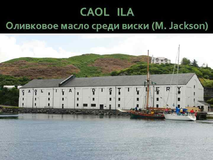 CAOL ILA Оливковое масло среди виски (M. Jackson) 