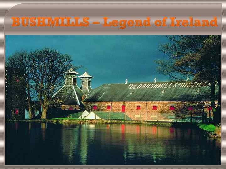 BUSHMILLS – Legend of Ireland 