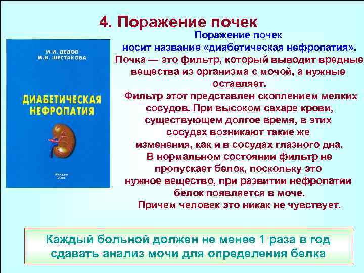 4. Поражение почек носит название «диабетическая нефропатия» . Почка — это фильтр, который выводит