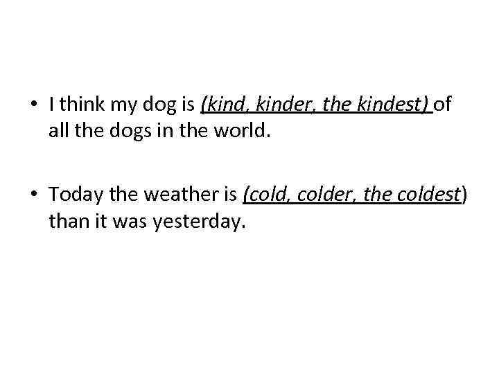  • I think my dog is (kind, kinder, the kindest) of all the