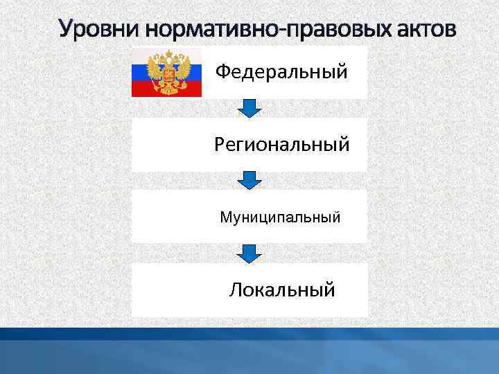 Уровни нормативно-правовых актов Федеральный Региональный Муниципальный Локальный 