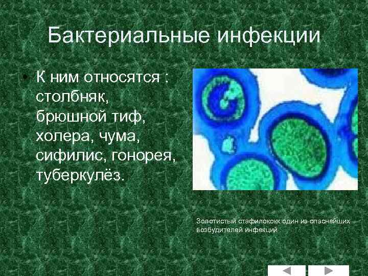 Бактериальные инфекции • К ним относятся : столбняк, брюшной тиф, холера, чума, сифилис, гонорея,