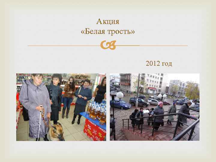 Акция «Белая трость» 2012 год 