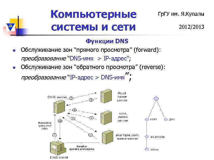 Компьютерные системы и сети n n Гр. ГУ им. Я. Купалы Функции DNS Обслуживание