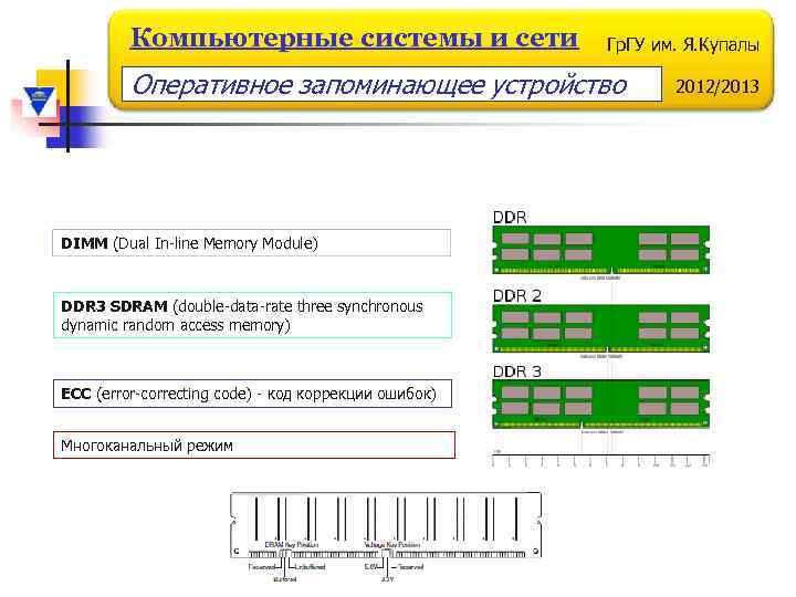 Компьютерные системы и сети Гр. ГУ им. Я. Купалы Оперативное запоминающее устройство DIMM (Dual