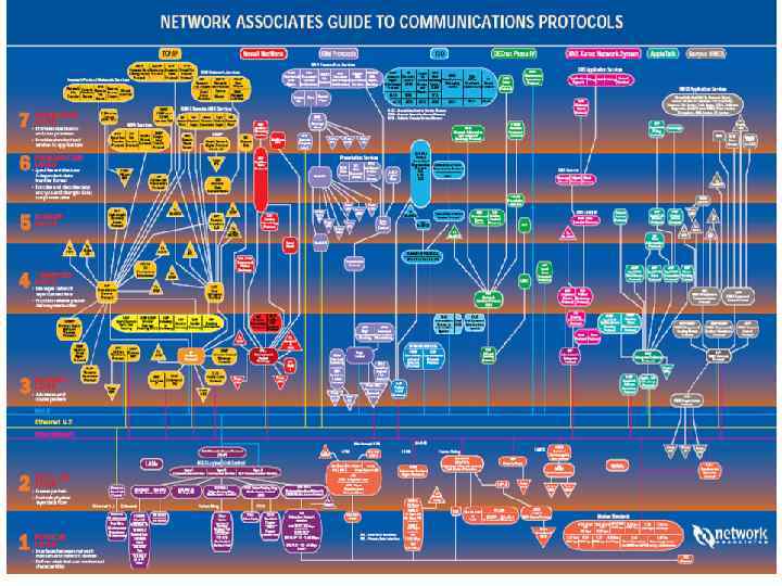 Компьютерные системы и сети Гр. ГУ им. Я. Купалы 2012/2013 