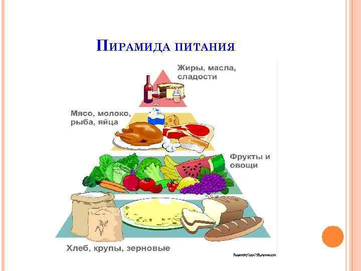 ПИРАМИДА ПИТАНИЯ 