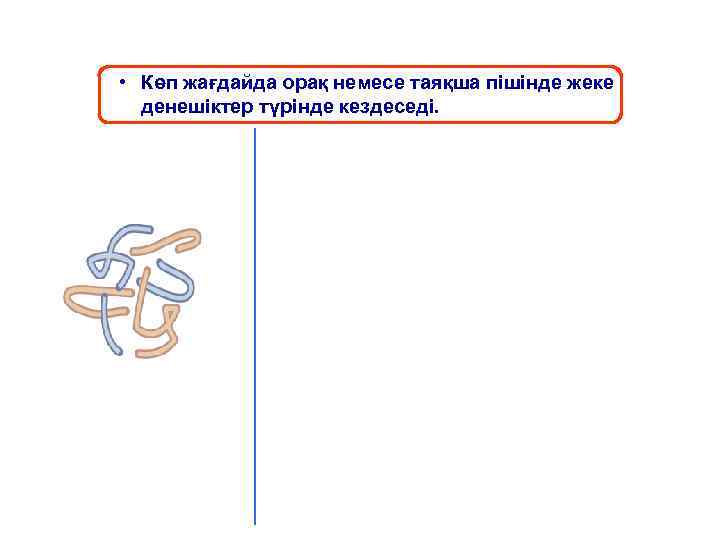  • Көп жағдайда орақ немесе таяқша пішінде жеке денешіктер түрінде кездеседі. 