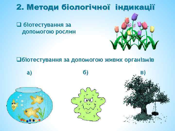 2. Методи біологічної індикації q біотестування за допомогою рослин qбіотестування за допомогою живих організмів
