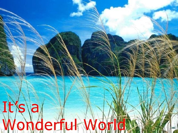 It’s a Wonderful World 