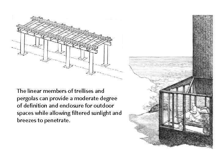 The linear members of trellises and pergolas can provide a moderate degree of definition